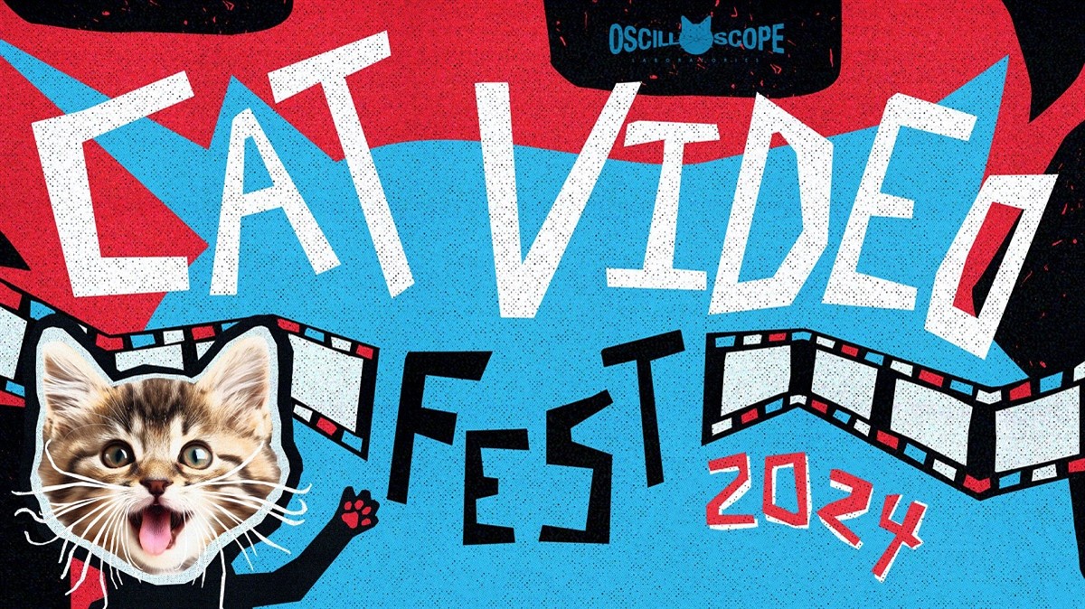 CatVideoFest 2024